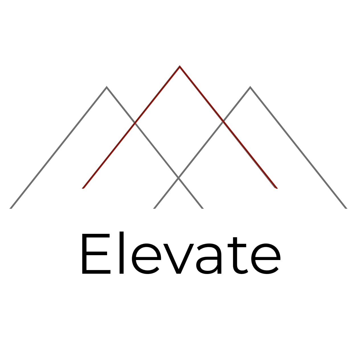 Elevate #39 s Amazon Page