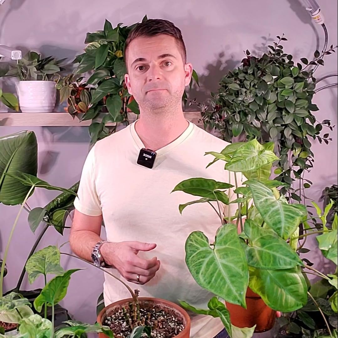 Everything Plants's Amazon Page