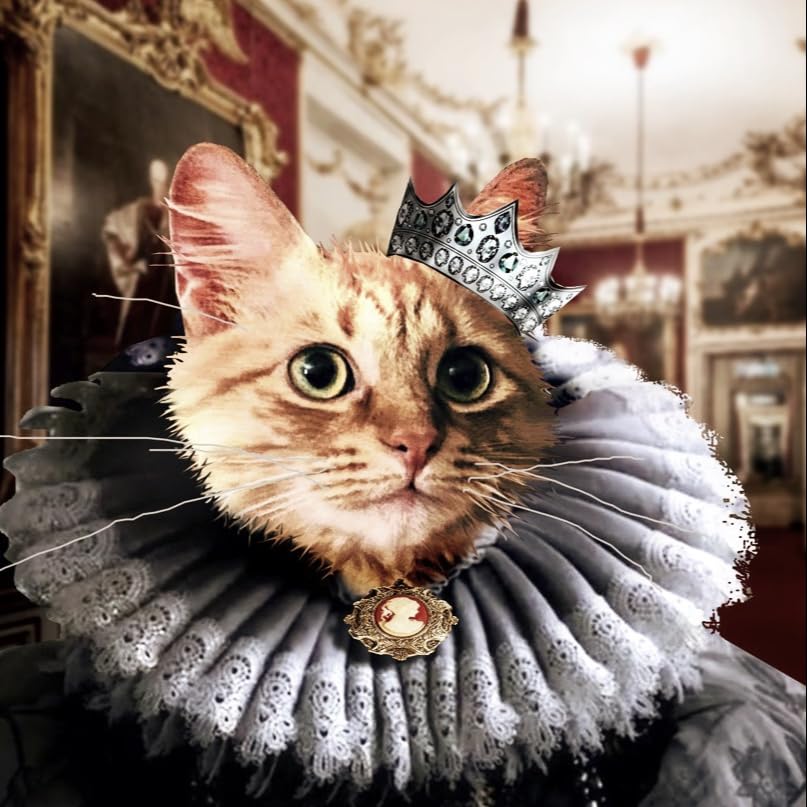 Ric’s Hoyas's Amazon Page