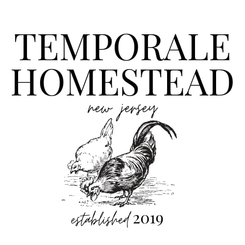 TEMPORALE HOMESTEAD STOREFRONT's Amazon Page