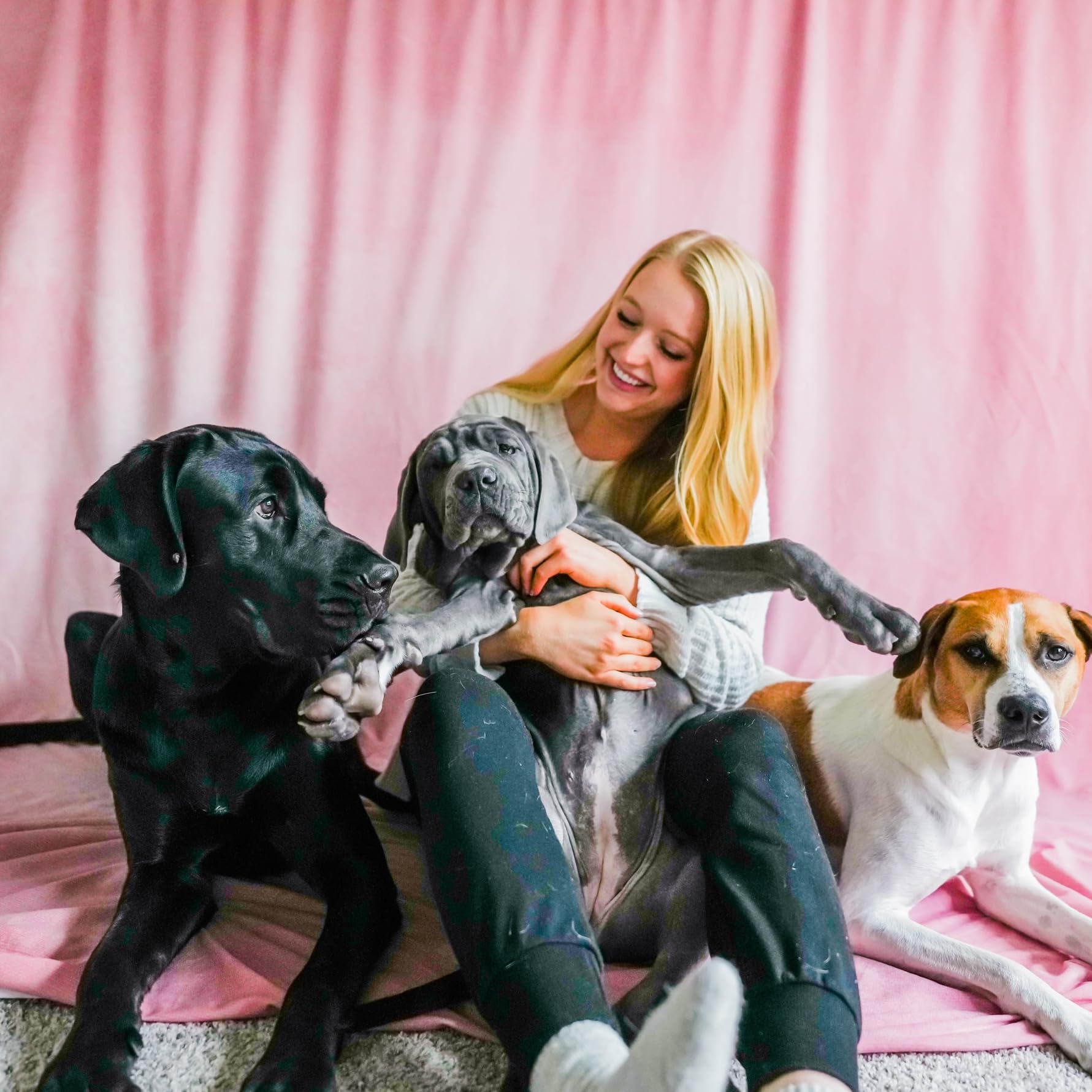 Dog Mom Lifestyle's Amazon Page