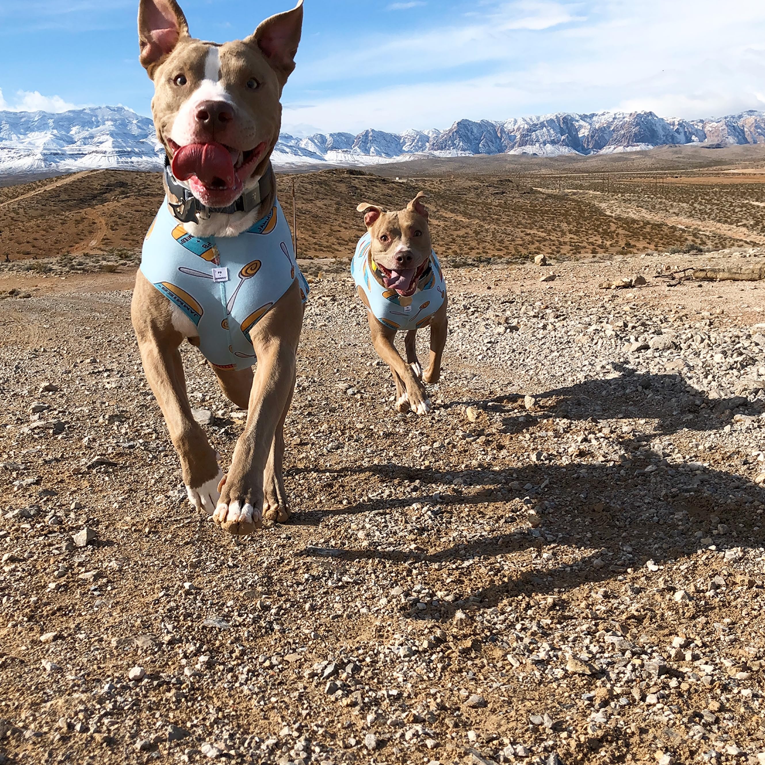 Knight & Aston's Amazon Page