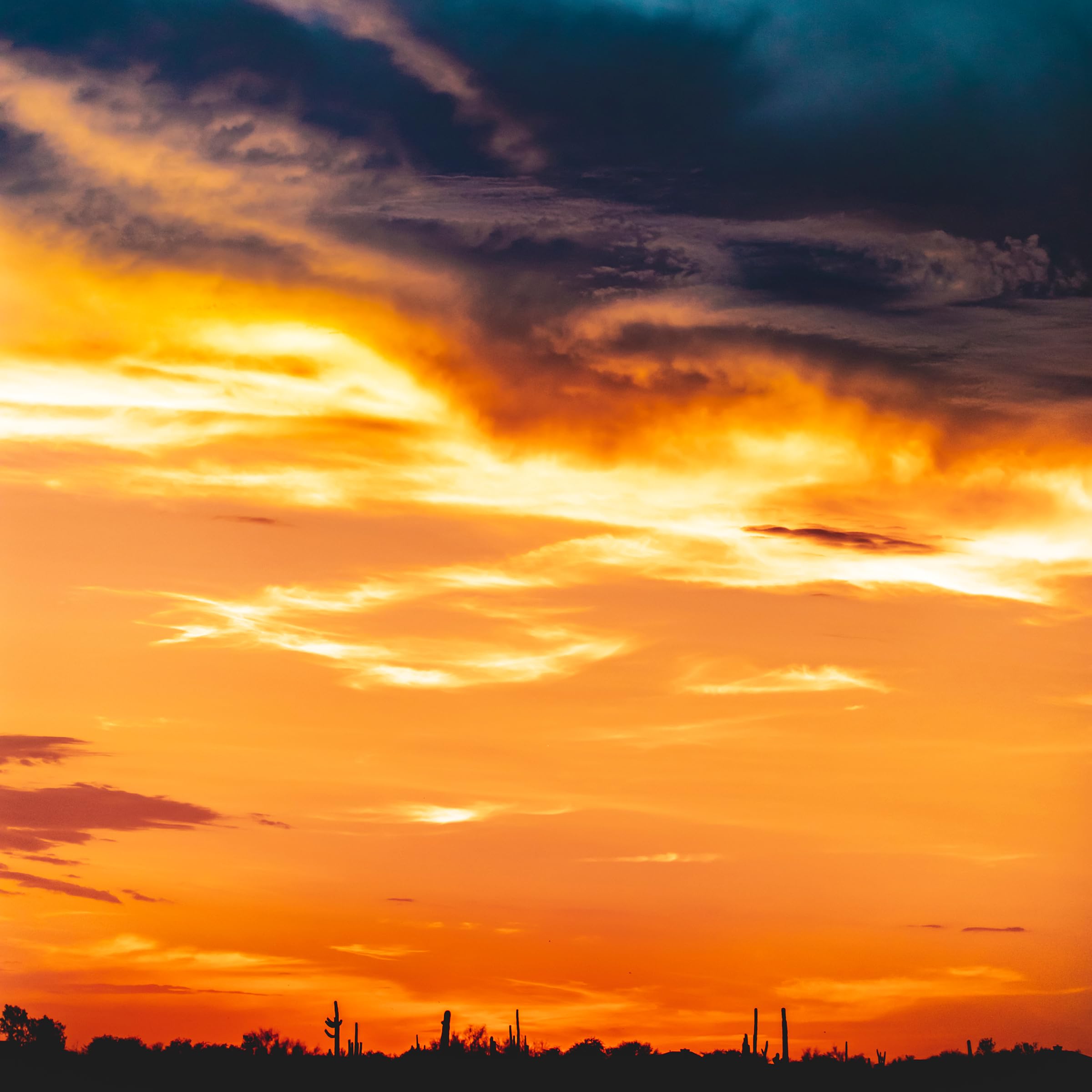 Tony Cottrell Photography's Amazon Page