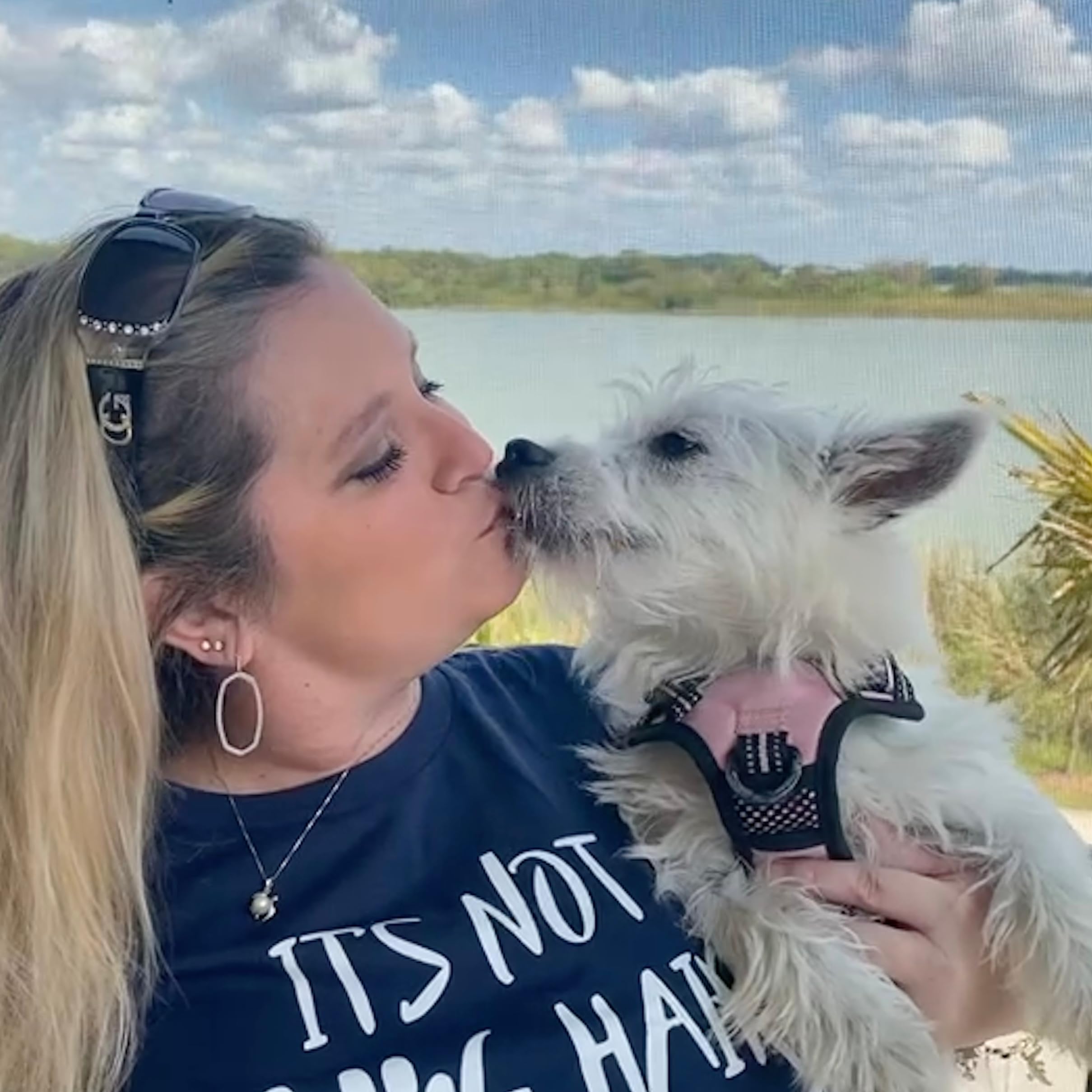 Lily’s Love's Amazon Page