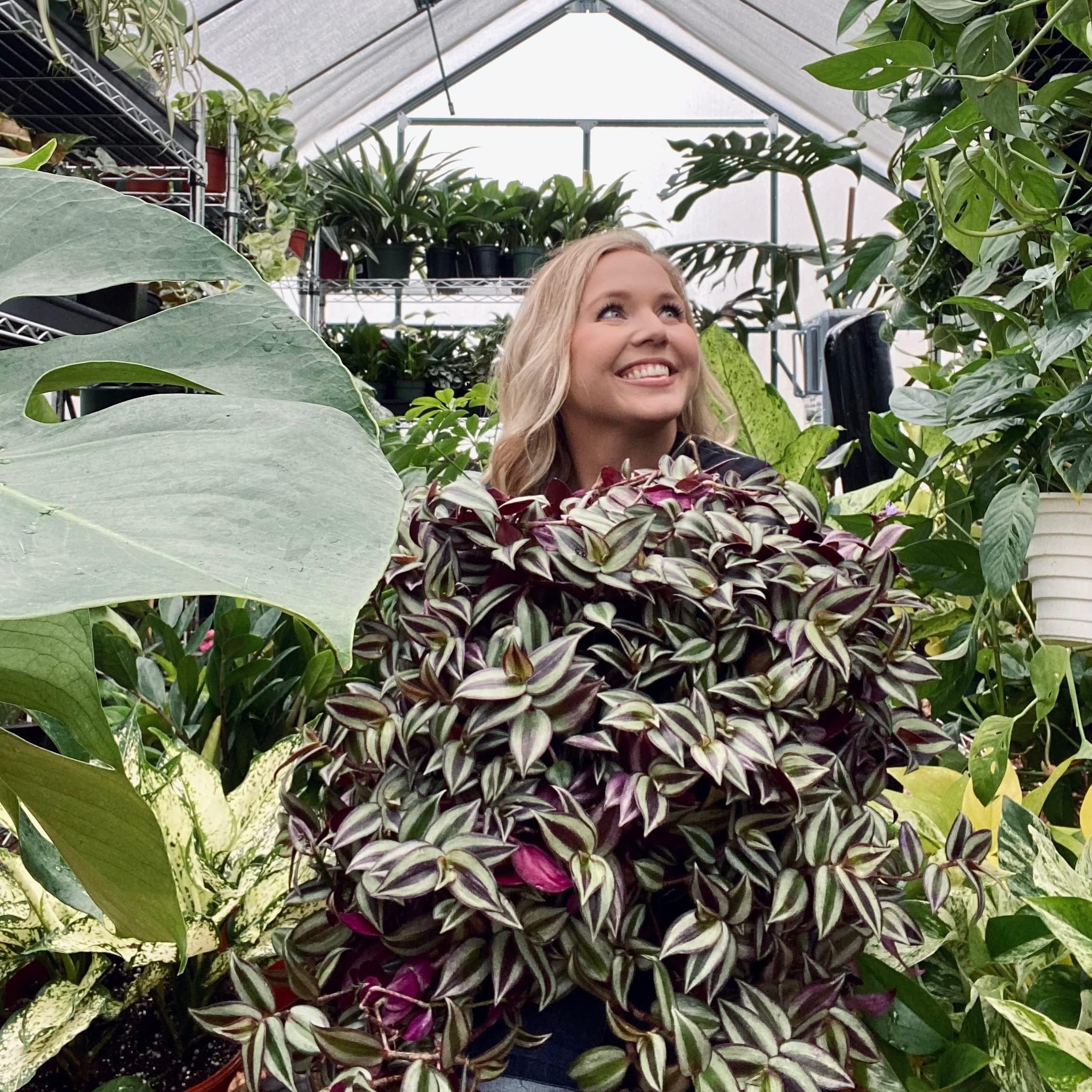 Green Space Plant Co.'s Amazon Page