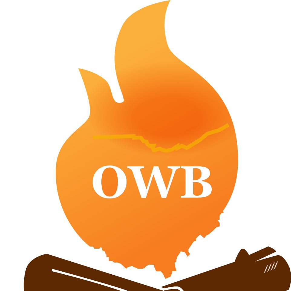 Ohio Wood Burner Ltd's Amazon Page
