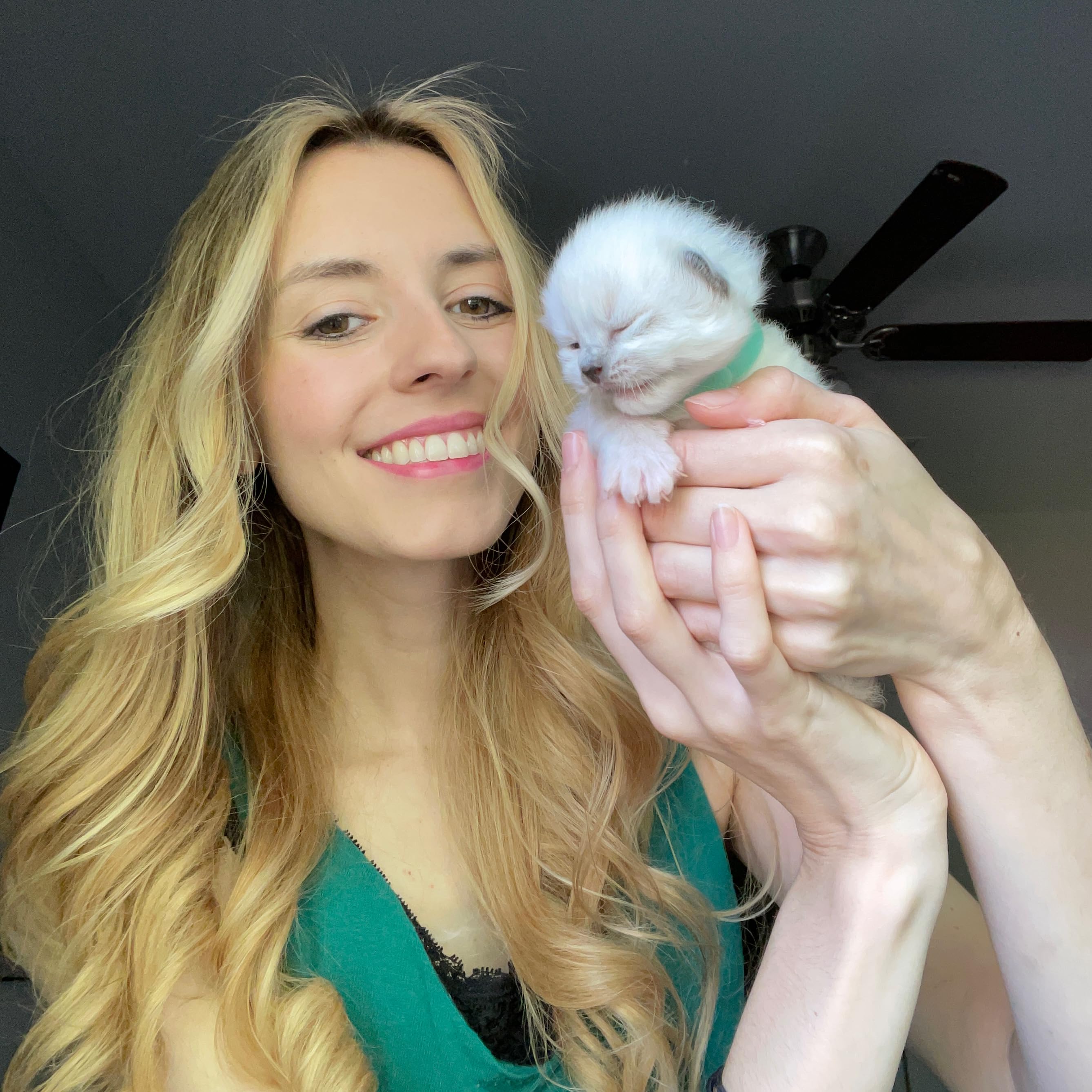 Pearl's Ragdolls's Amazon Page