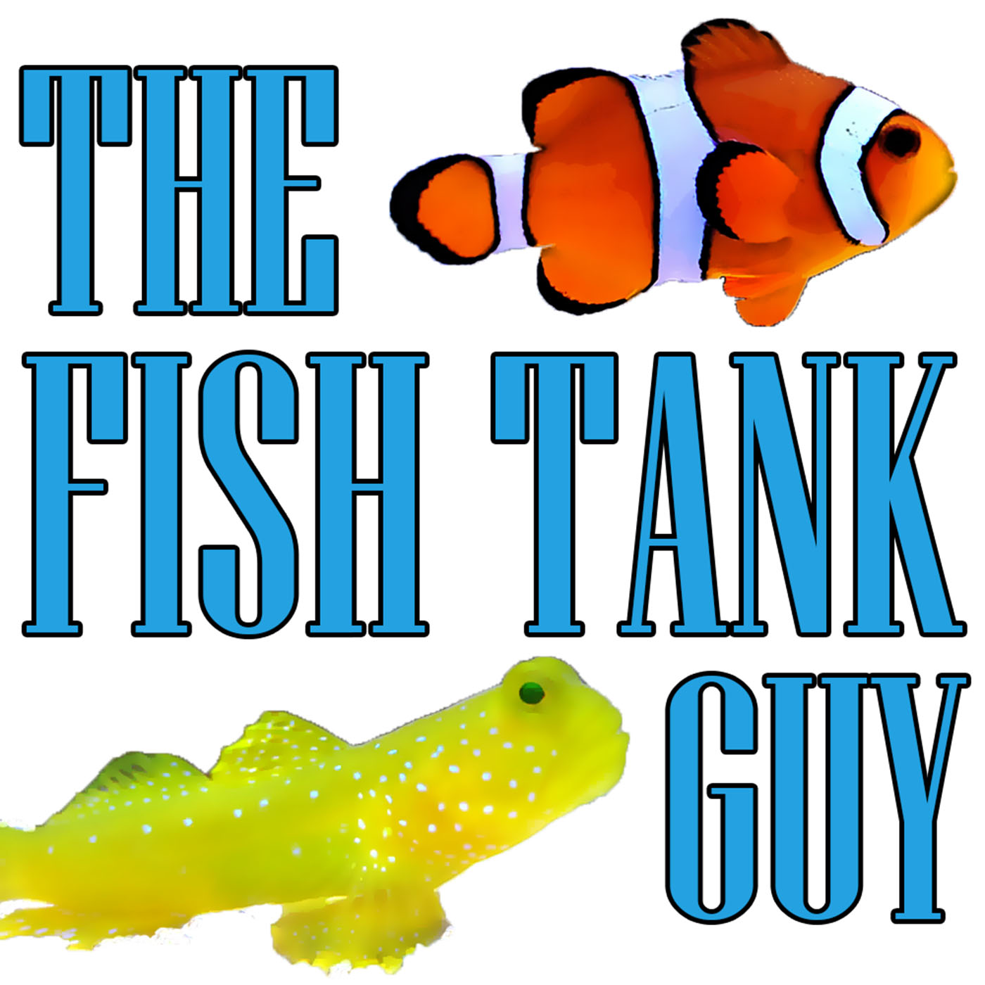 The Fish Tank Guy's Amazon Page