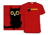 Misunderstood - Like a Black Cat