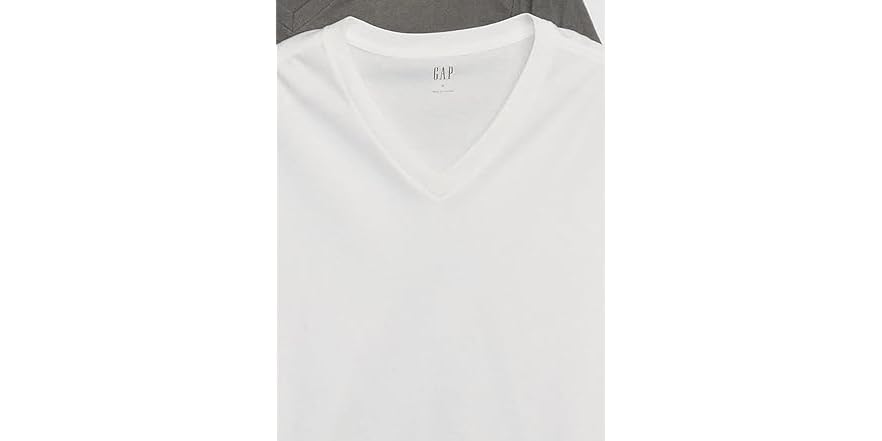 GAP Mens Everyday Short Sleeve V-Neck
