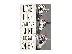 KJSKH Retro Metal Tin Sign Live Like 