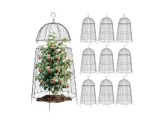 Chicken Plant Protector 10 Pcs