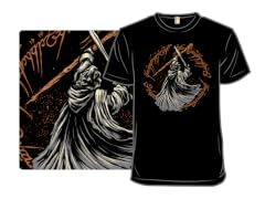 Destiny Of The Wizard