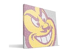 Arizona State Sun Devils