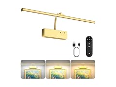 Lightbiz Picture Light 20in Gold