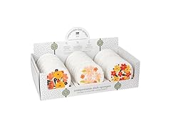Now Designs Full Bloom Sponge Set of 24
