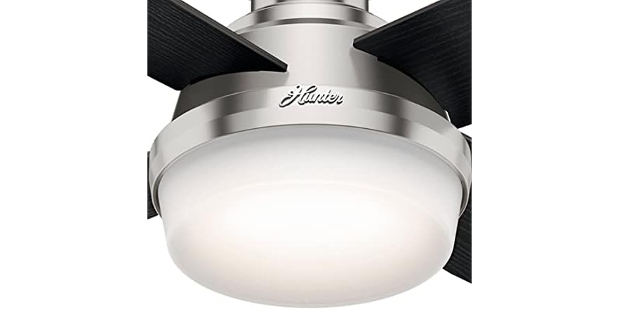 Hunter Fan Low Profile Ceiling Fan