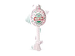 Tootsie Roll Blow Pop Plush & Rope Dog Toy- Watermelon