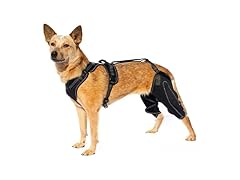Oartway Knee Brace Harness for Dogs