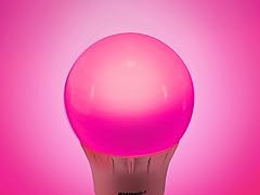 Pink LED A19 Light Bulb - 2 Pack