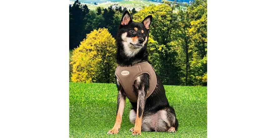 Puppia Eco Dog Harness Brown, Large