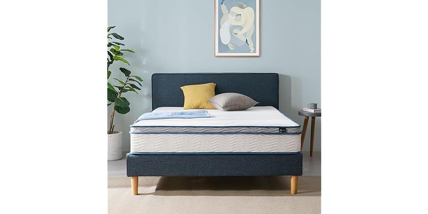 ZINUS 8 Inch Spring Sensation Hybrid Mattress - Medium Firm Twin, Fiberglass Free