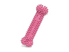 Nylabone Textured Teething Bone Puppy Chew Toy