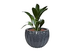 Sunnydaze 13.5" Fluted Ceramic Plant Pot