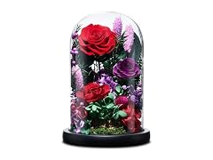 CuteWelt Preserved Roses