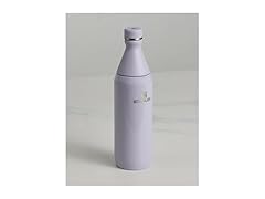 Stanley All Day Slim Bottle 20oz - Purple Dust Gloss