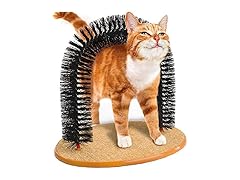 BUYTER Cat Massage Scratching Bristle Arch
