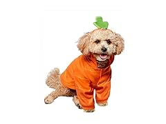 Rubies Carrot Pet Costume for Dogs or Cats