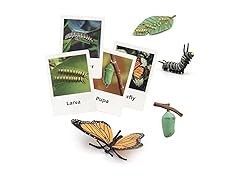 2 Pack Montessori Butterfly Figures