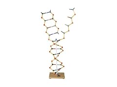 Science And Nature Orbit Dna-rna Kit