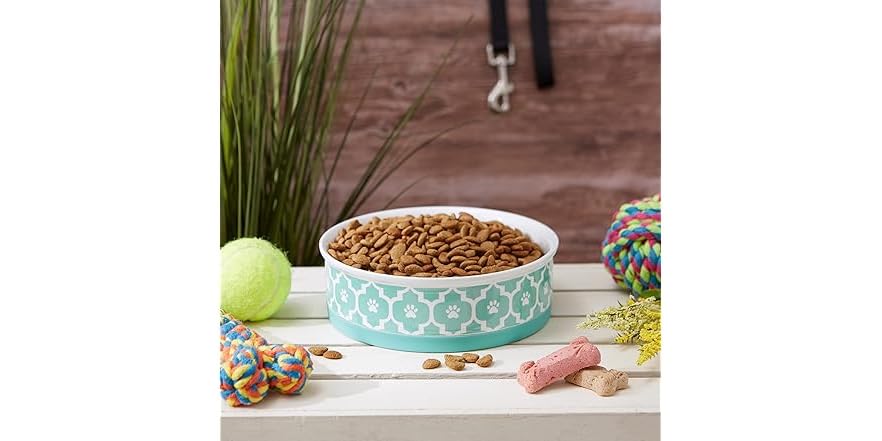 Bone Dry Lattice Collection Pet Bowl & Canister, Large Round – 7.5 X 7 5 X 2 4 Aqua Bone Dry Lattice Collection Pet Bowl & Canister, Large Round – 7.5 X 7 5 X 2 4 Aqua