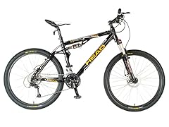 19" Seek Bicycle