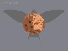 African or European Swallow