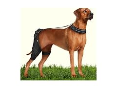 CAMRIER 2X Support Dog Knee Brace with Metal Strips MED