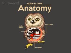 Anatomy of Owls