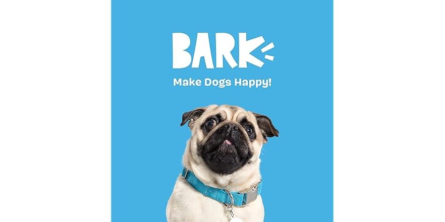 Barkbox Squeaky Dog Toys - Dingbert The Dragon