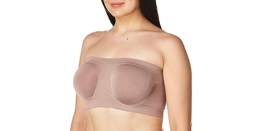 Ahh By Rhonda Shear Women's Angel Seamle