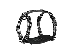 Alcott Essentials Adventure Pet Harness, Small