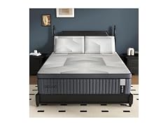 DIGLANT 14" Plush Hybrid Queen Mattress