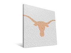 Texas Longhorns