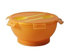 Salad Bowl with Cooler Pack
