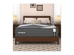 Lechepussleep Queen Mattress 10 Inch