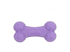 Pupstages Pupstages Flex-Force Bone Dog Toy for