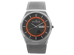 Skagen SKW6007 Titanium Mesh Men's Watch
