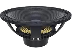 B&C Speakers 15-inch Woofer Cone