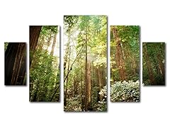 Ariane Moshayedi Muir Woods